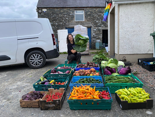 Why Local, Chemical-Free Irish Vegetables Make Superior Fermented Foods